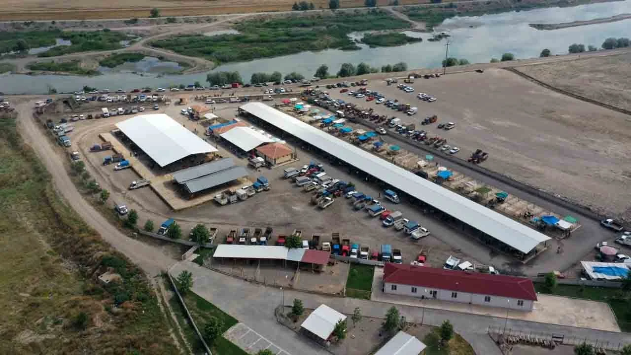 Tokat'ta koyun çiçeği karantinası: Hayvan pazarı kapatıldı!