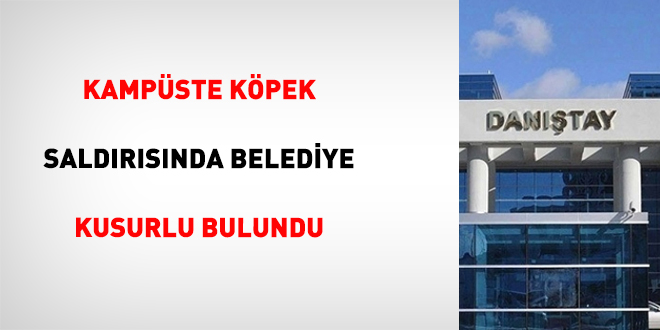 Kampüste köpek saldırısında belediye kusurlu bulundu