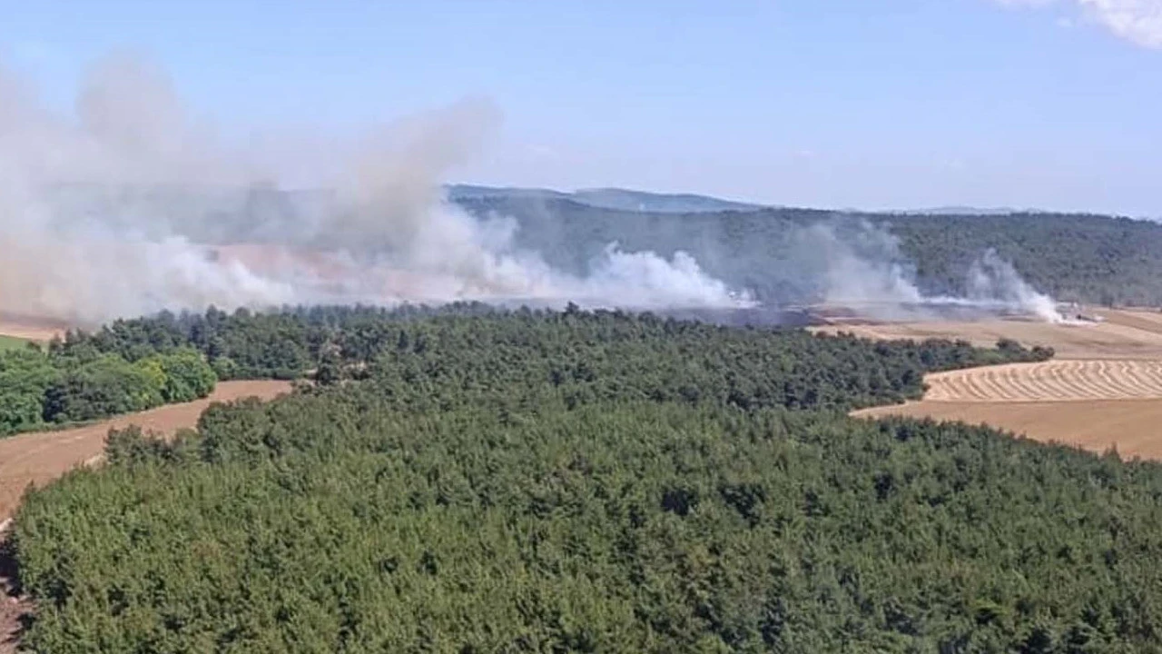 Tarım arazisinde başladı, ormana sıçradı: Çanakkale'de yangın