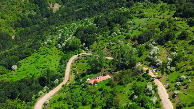 Yozgat Şebek Geçidi yeşile büründü: Doğal güzellik dronla görüntülendi