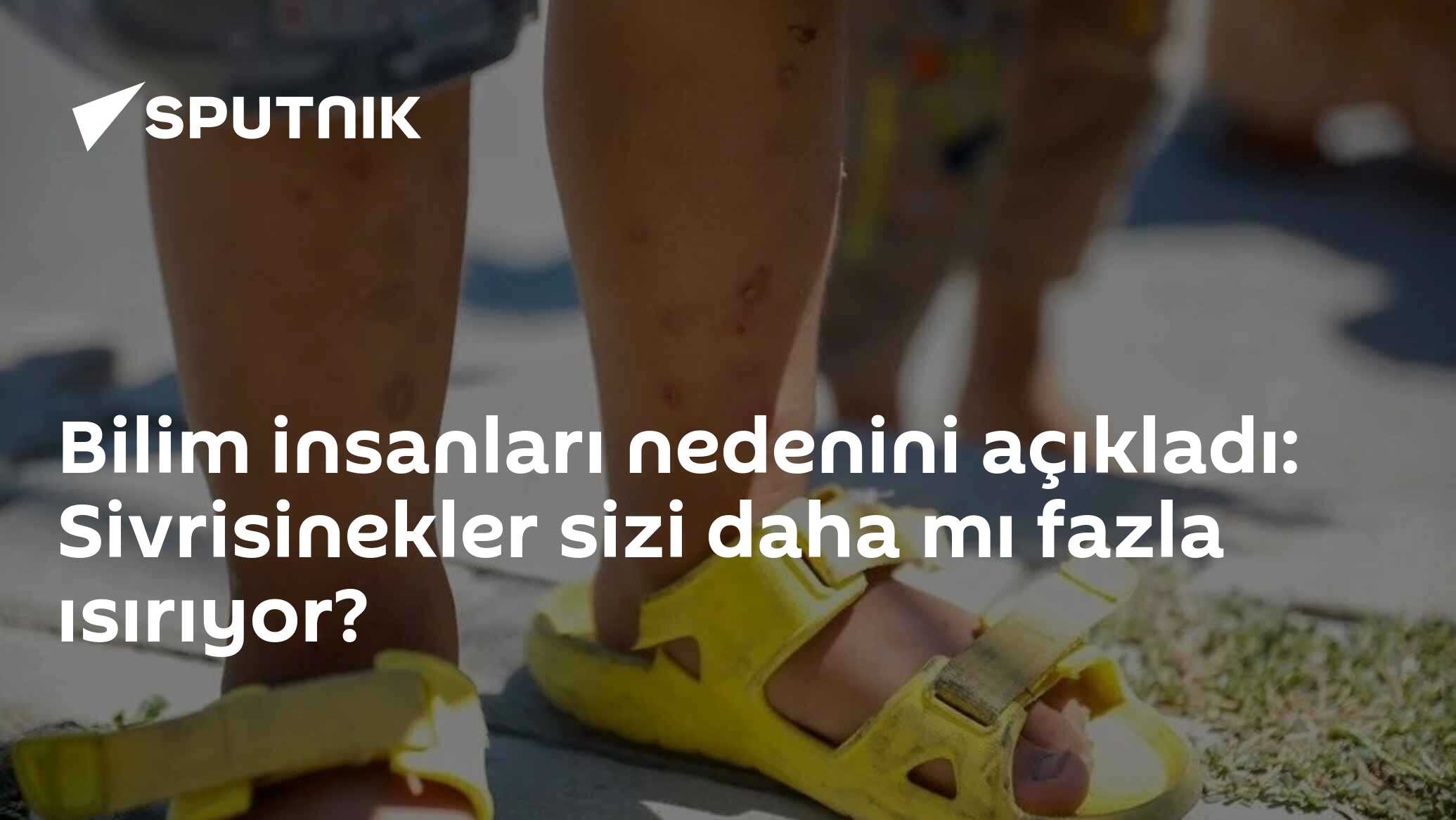 Bilim insanları nedenini açıkladı: Sivrisinekler sizi daha mı fazla ısırıyor?