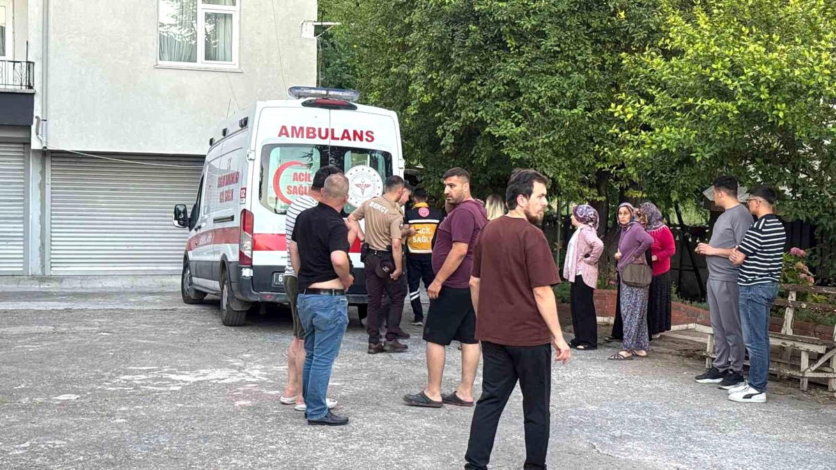 Dut toplarken ağaçtan düşüp yaralandı