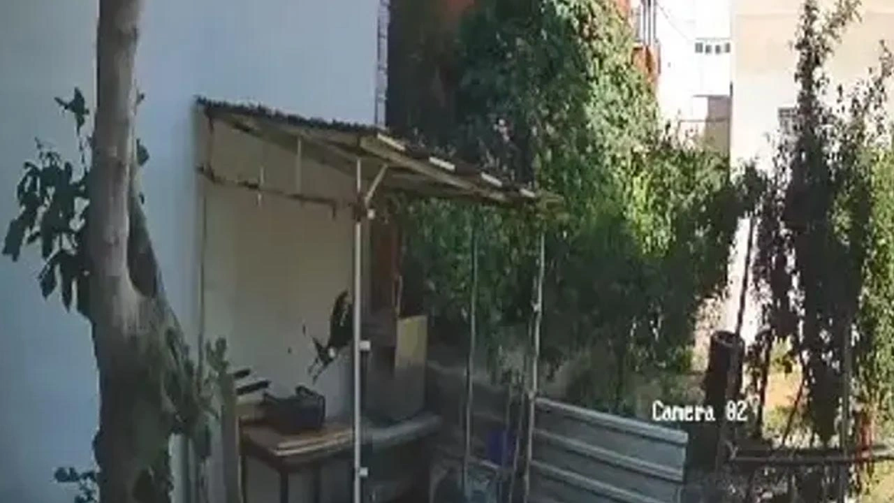 Yumurtalarını çalanı kamera ile buldu: Hırsızın kim olduğunu görünce şaştı kaldı