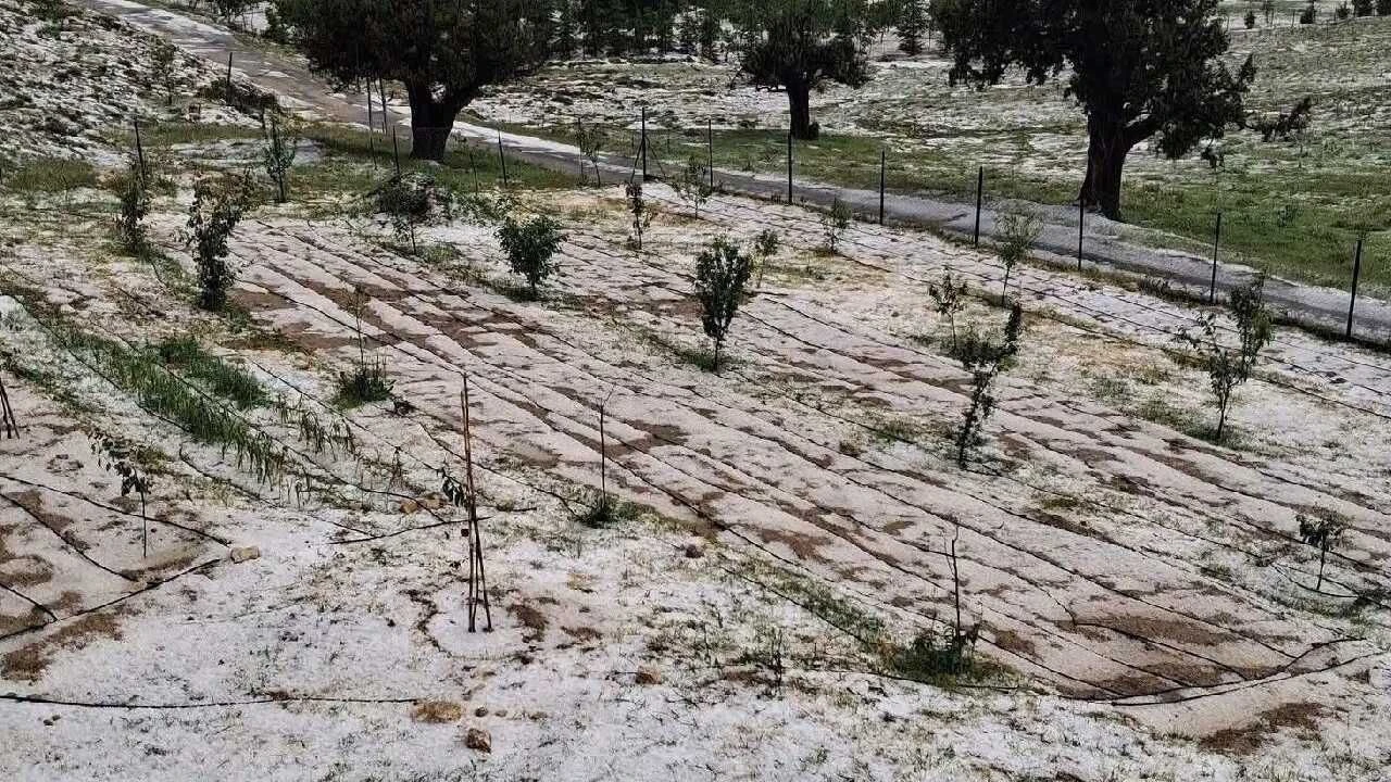Mersin'i dolu vurdu: Tarım arazileri zarar gördü