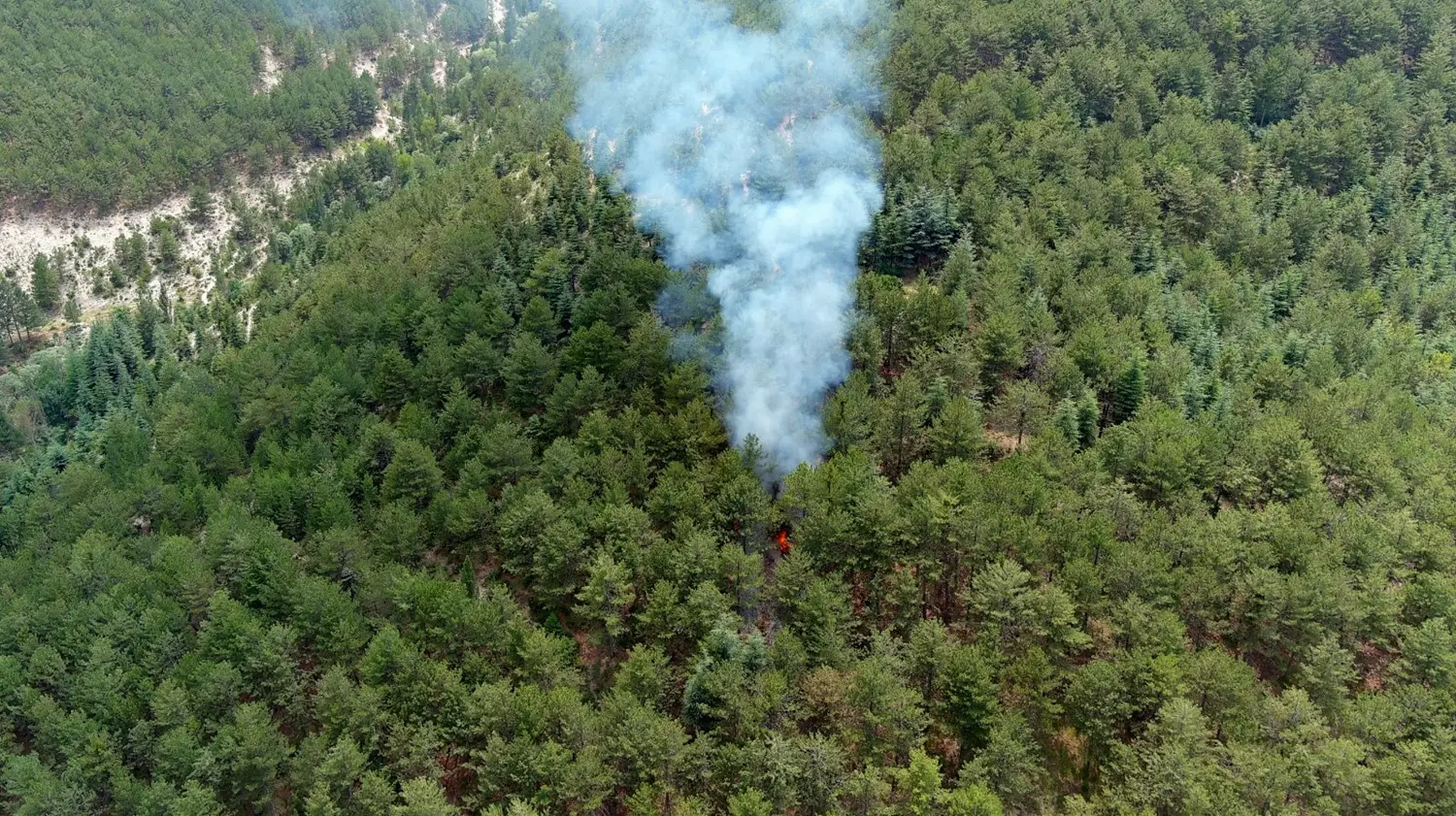 Kütahya'da orman yangını! Havadan ve karadan müdahaleyle söndürüldü