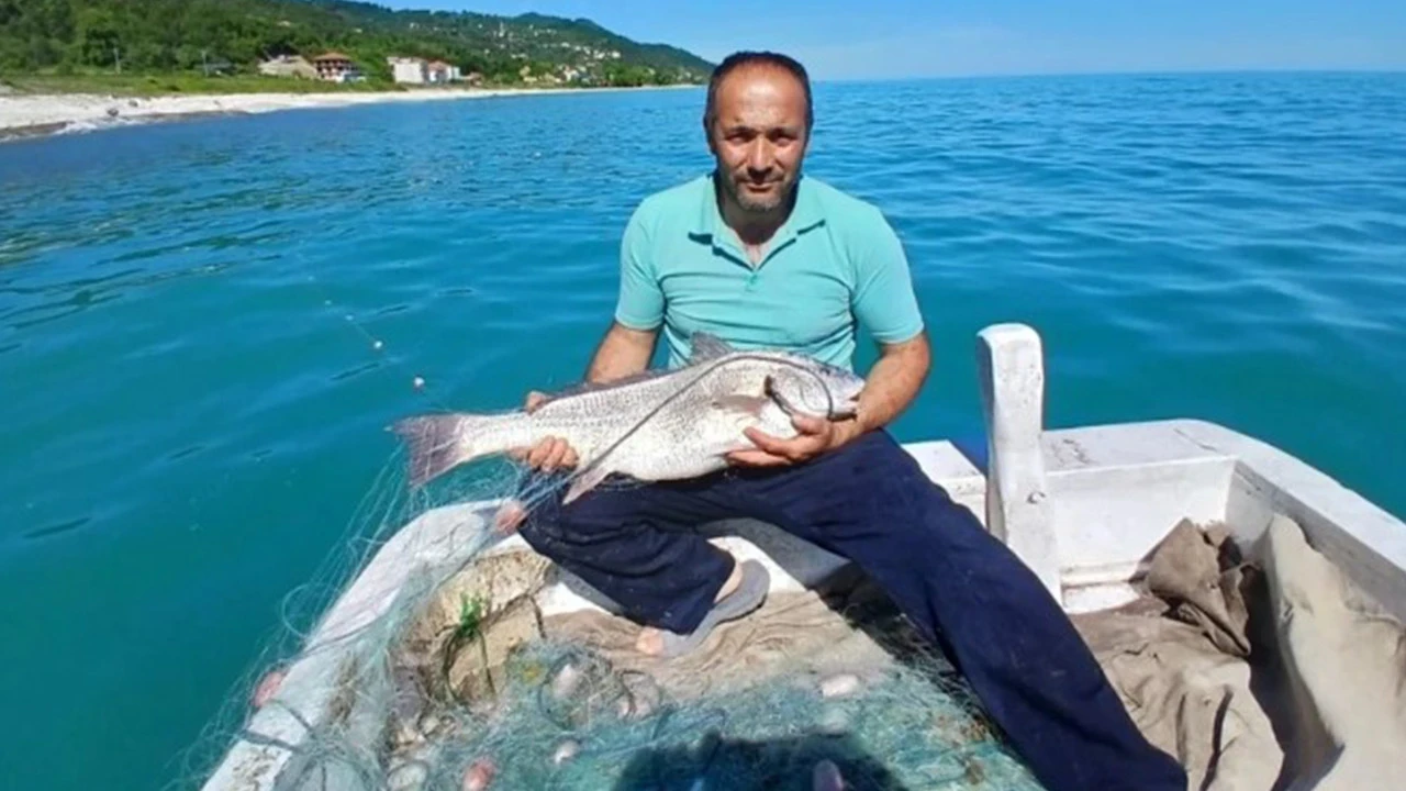 Karadeniz'de balıkçıların ağına takılan balık şaşırttı