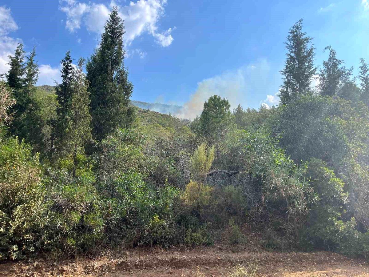 Marmaris'te yıldırım kaynaklı orman yangını