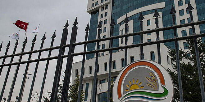 Kırsalda Bereket Küçükbaşa Destek Projesi'nin ilk etap sonuçları belli oldu