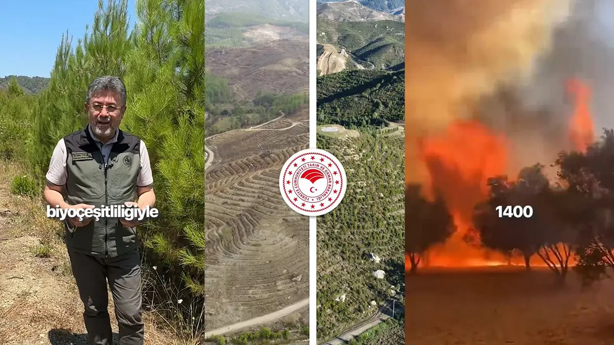 'Yanan alanlara otel yapılıyor' iddiasına Bakan Yumaklı'dan videolu yanıt!
