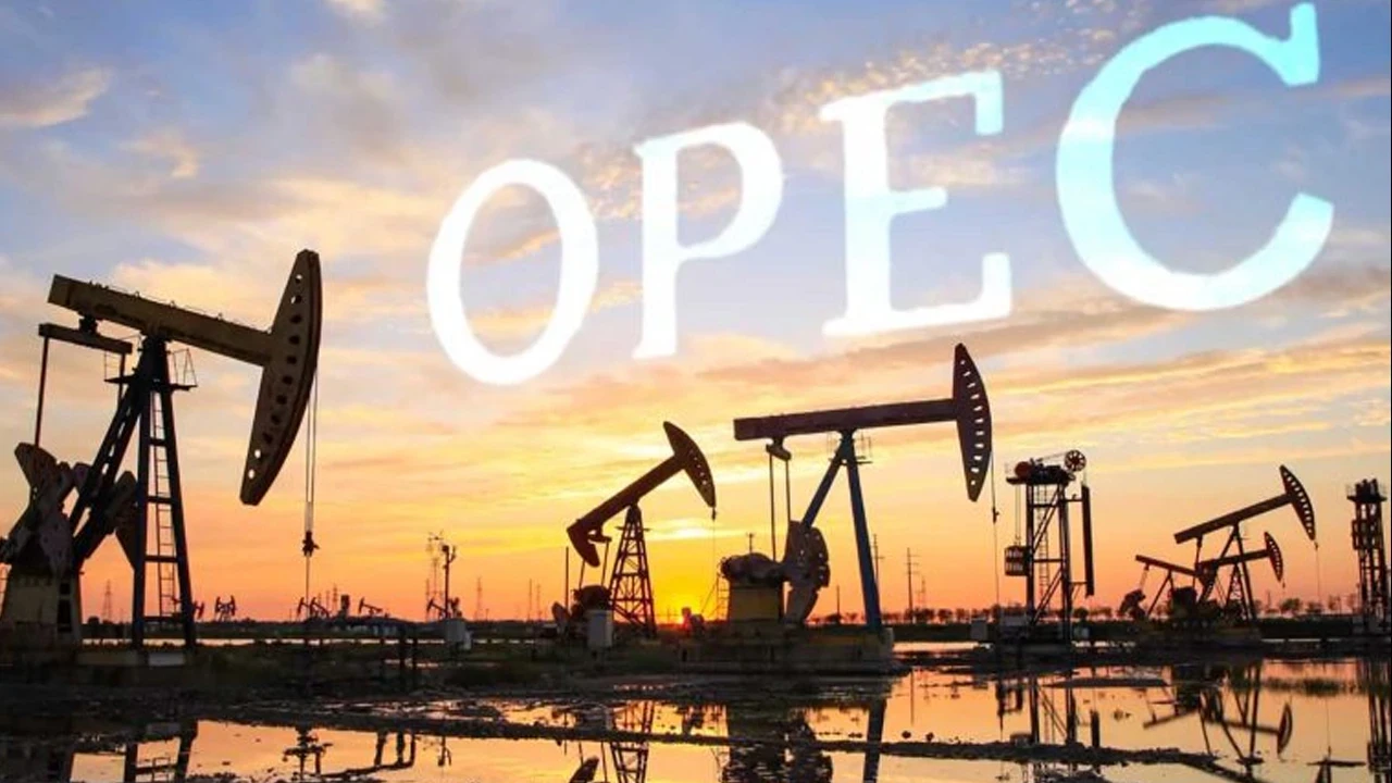 OPEC’ten çarpıcı tahmin: Küresel enerji talebi 2050’ye kadar yüzde 23 artacak