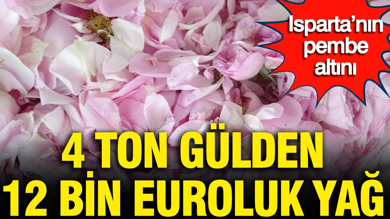 Isparta’nın pembe altını: 4 ton gülden 12 bin euroluk yağ