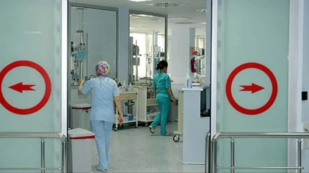 Samsun'da feci olay! Üzerine kestiği ağaç düştü yaşlı adam hayatını kaybetti