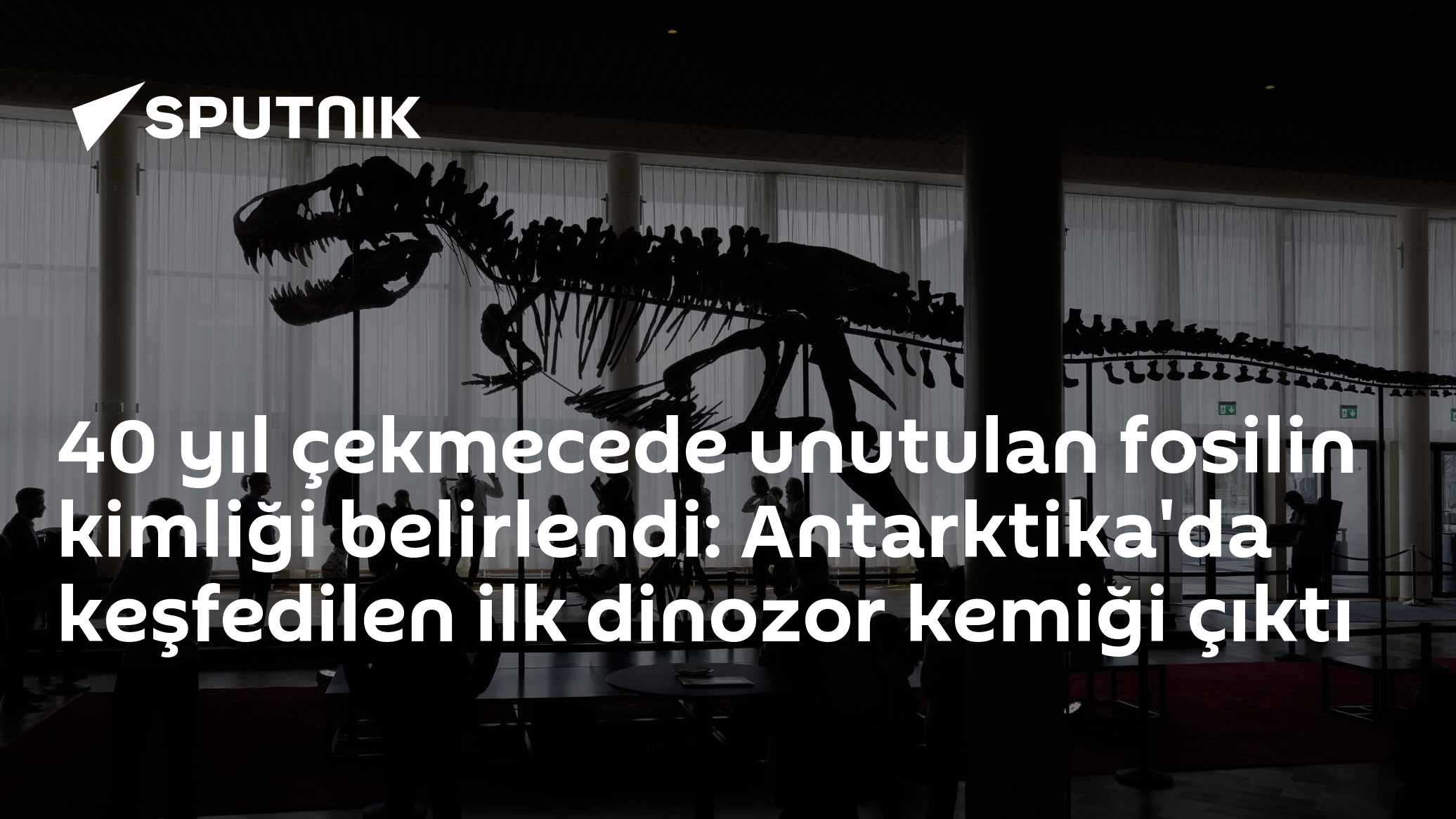 40 yıl çekmecede unutulan fosilin kimliği belirlendi: Antarktika'da keşfedilen ilk dinozor kemiği çıktı