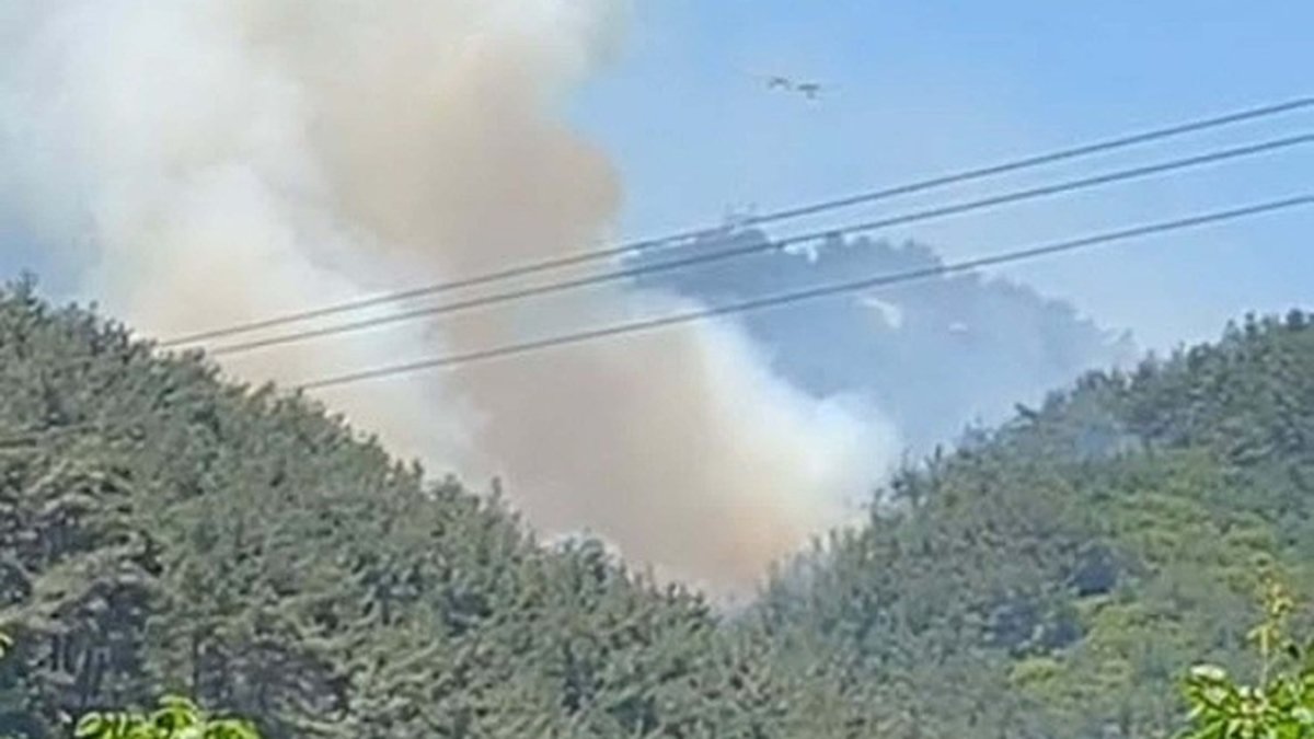 Son dakika: Manisa'nın Soma ilçesinde orman yangını çıktı