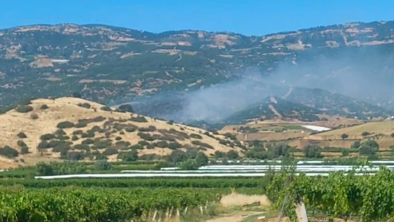 Manisa'da orman yangını