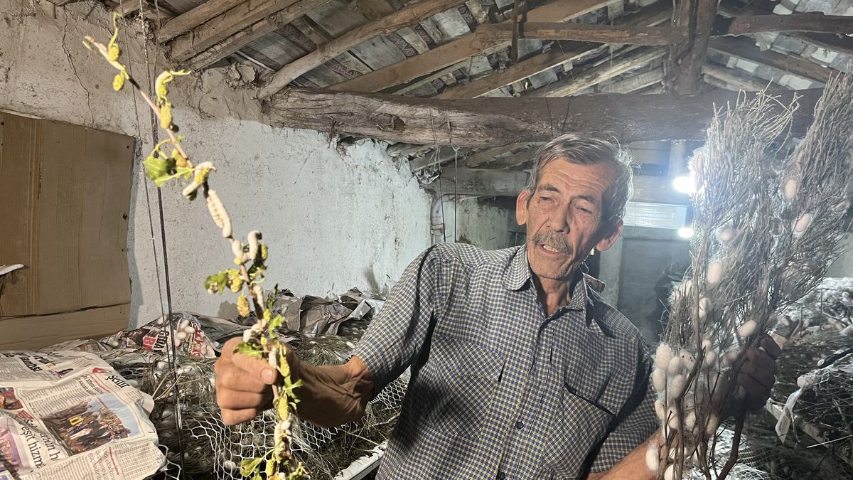 İpek böcekçiliğinin 3'üncü kuşak temsilcisi