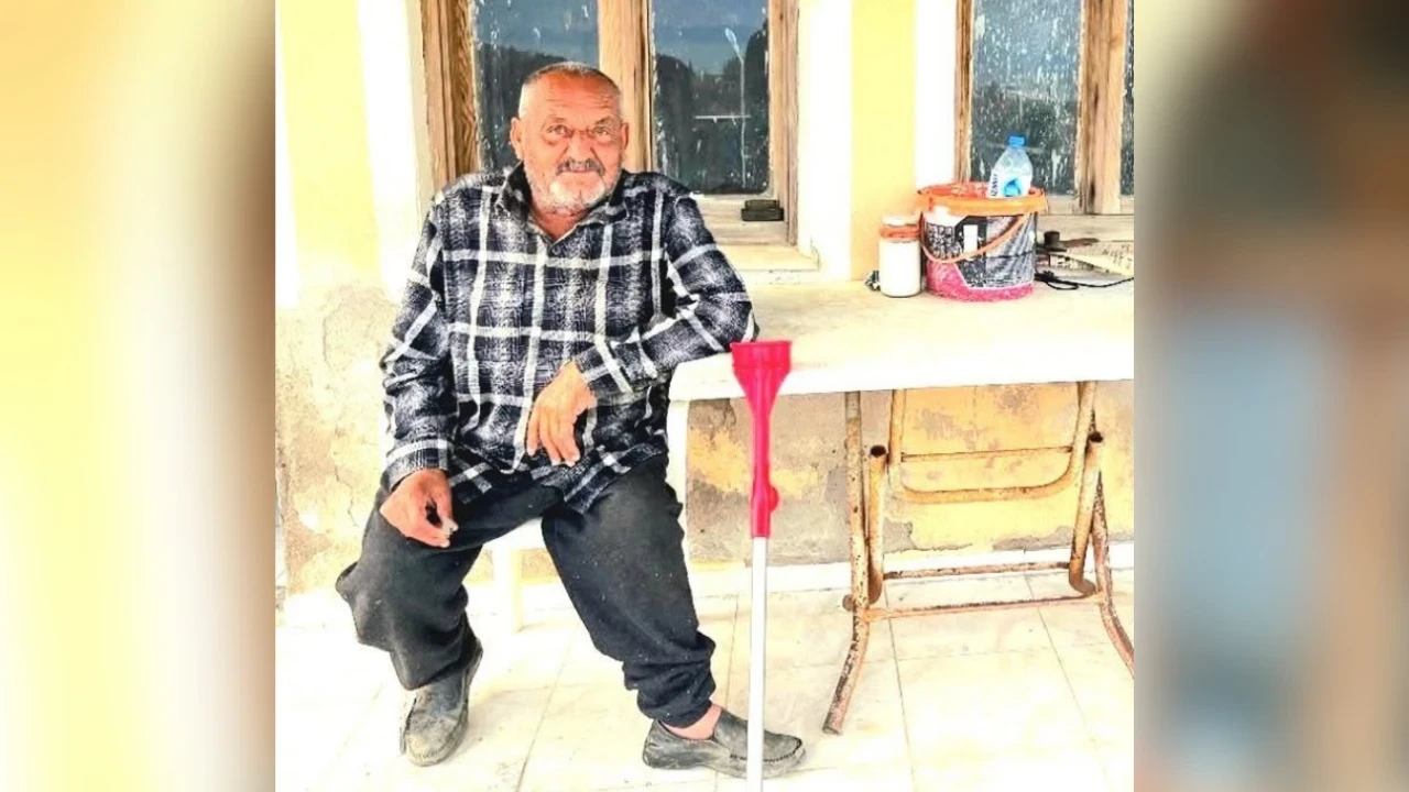 İzmir'de ayı saldırısına uğrayan yaşlı adam yaşamını yitirdi