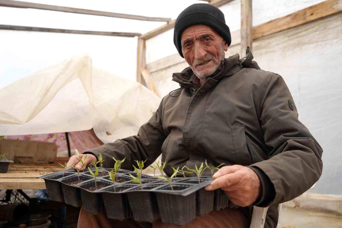 Bayburtlu çiftçi 'memleket meselesi' gördüğü ata tohumlarını gelecek kuşaklar için çoğaltıyor