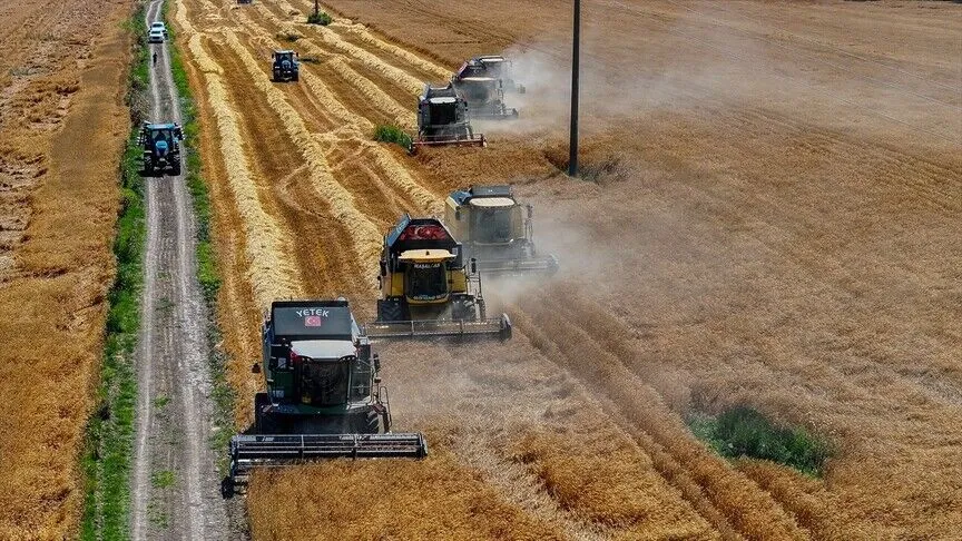 TİGEM'in Karacabey tesisleri yerli tohumluk buğdayda bölge ihtiyacını karşılıyor
