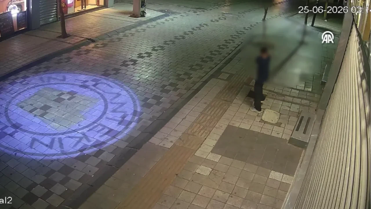 Caddede dikili ağaca saldırdı! Kırklareli’nde akılalmaz olay