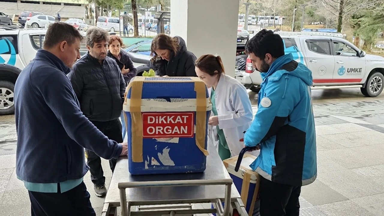 Beyin ölümü gerçekleşen milli sporcunun organları 3 hastaya umut oldu