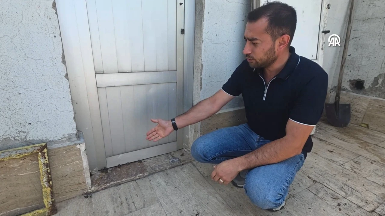 Sağanak yağış sonrası ortaya çıktılar: 'Hayatımda ilk defa böyle bir şey görüyorum'