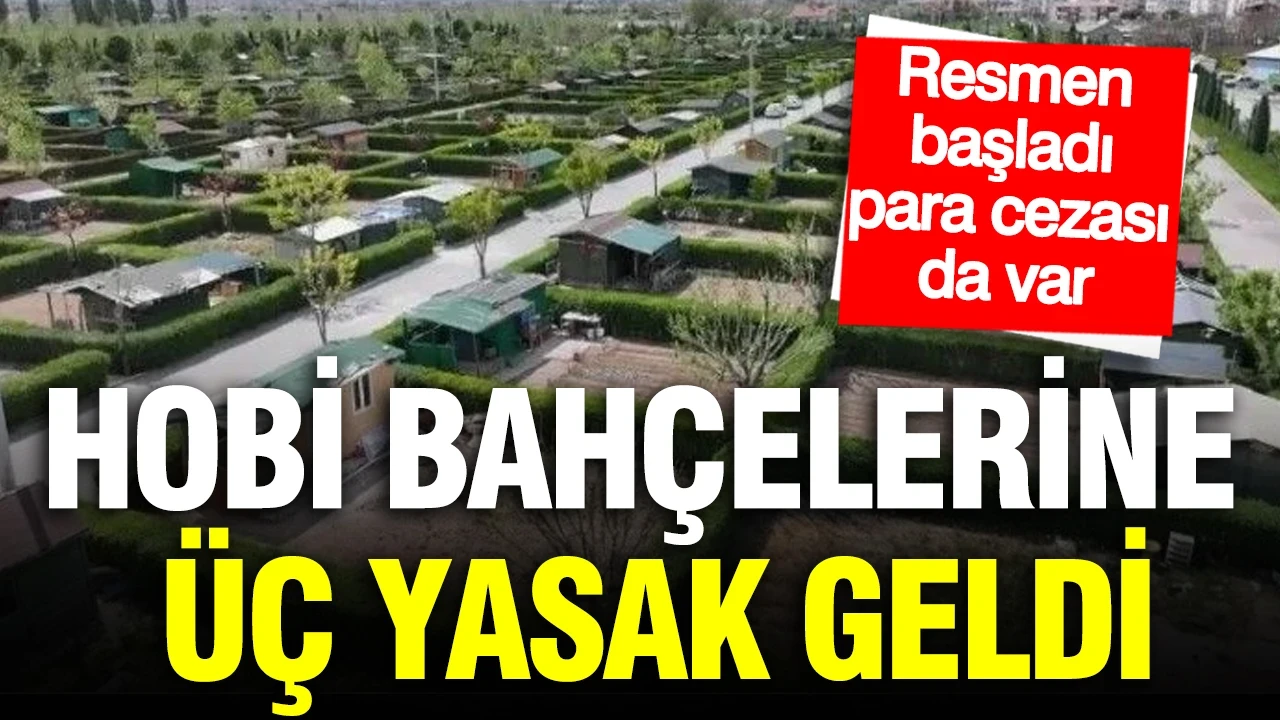 Hobi bahçelerine üç yasak geldi: Para cezası da var