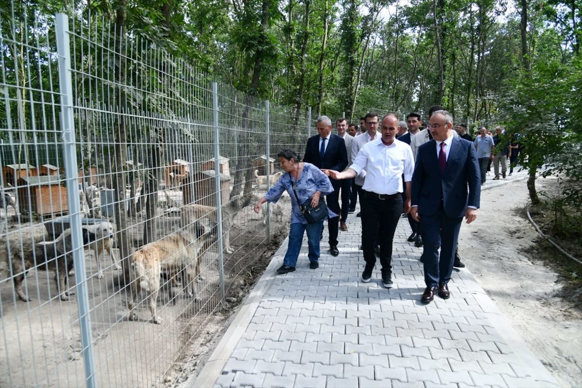 Vali Soytürk, Sahipsiz Sokak Hayvanları Bakımevi ve Rehabilitasyon Merkezini ziyaret etti
