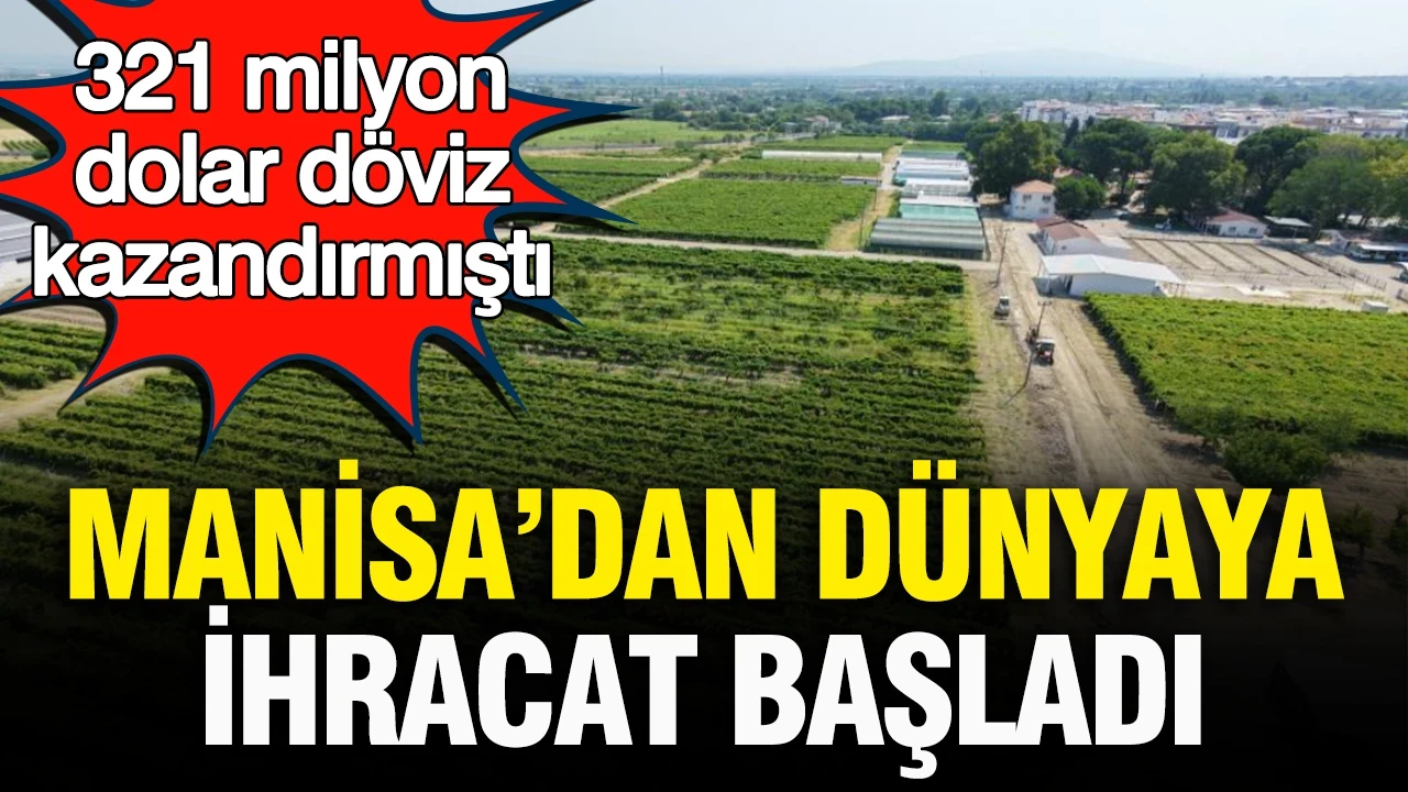 Manisa’dan dünyaya ihracat başladı: Erkenci üzüm 321 milyon dolar döviz kazandırmıştı