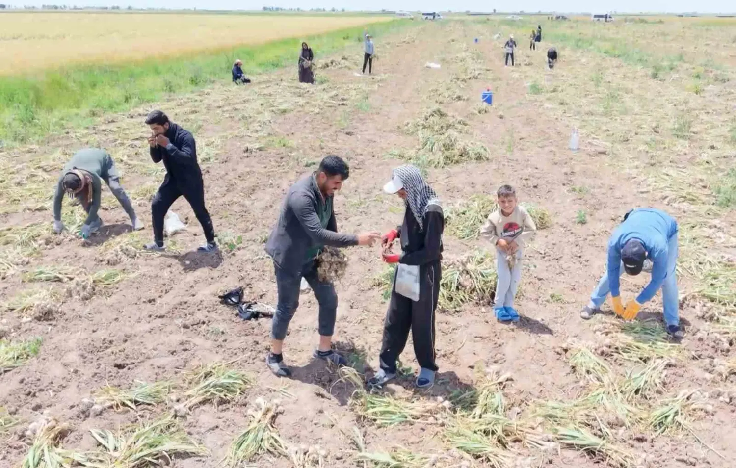 Rusya ve İspanya özellikle istiyor! Dünya, Aksaray'ın gizli hazinesinin peşinde