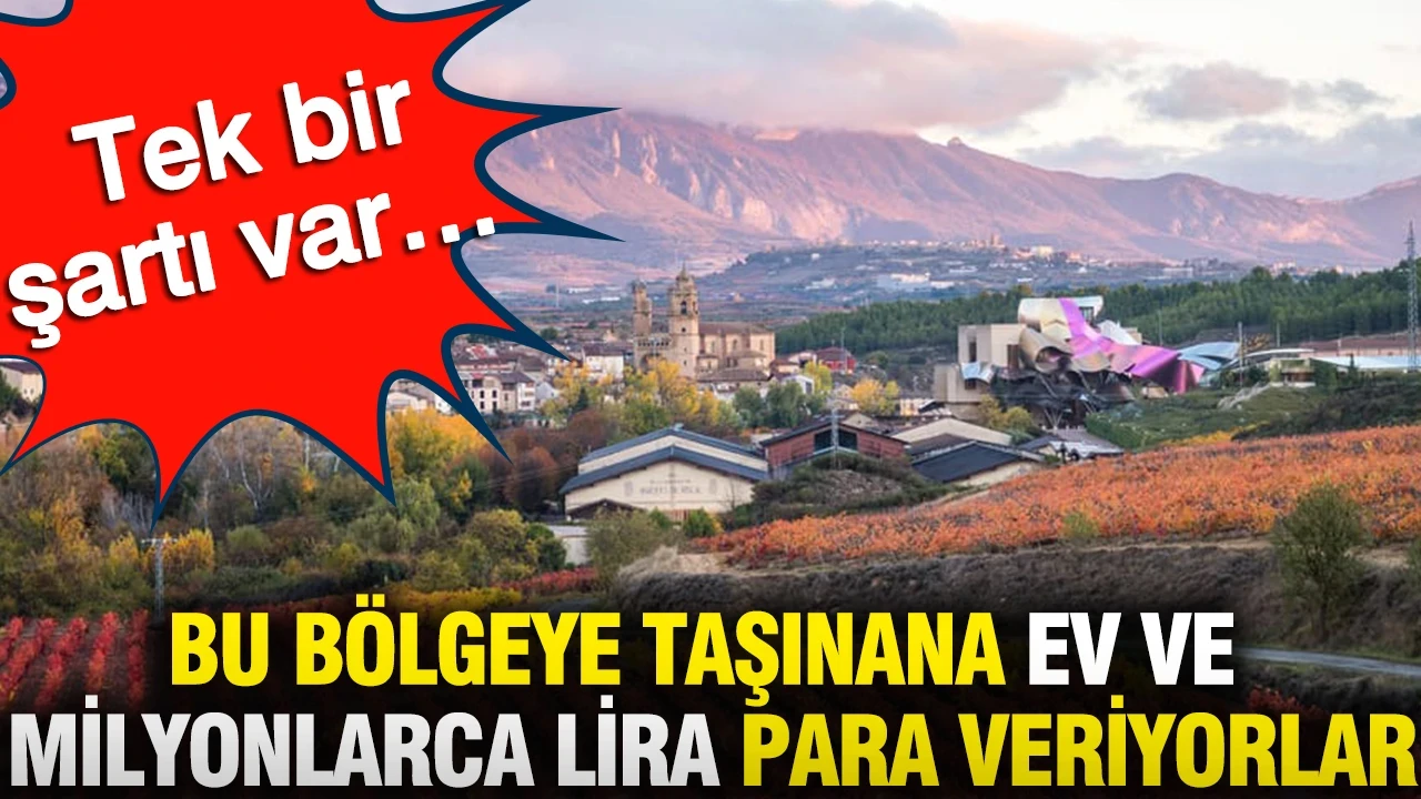 Bu bölgeye taşınana ev ve milyonlarca lira para veriyorlar: Tek bir şartı var…