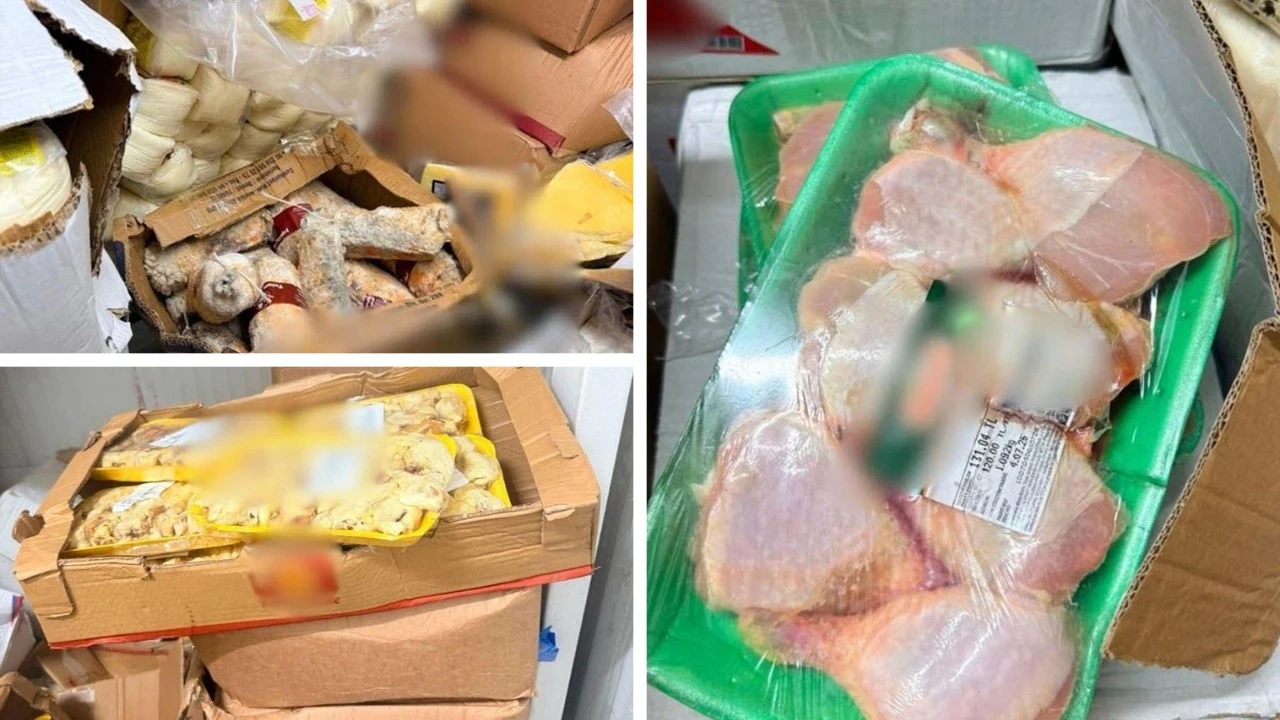 Bodrum'da 1,2 ton tarihi geçmiş gıda ele geçirildi