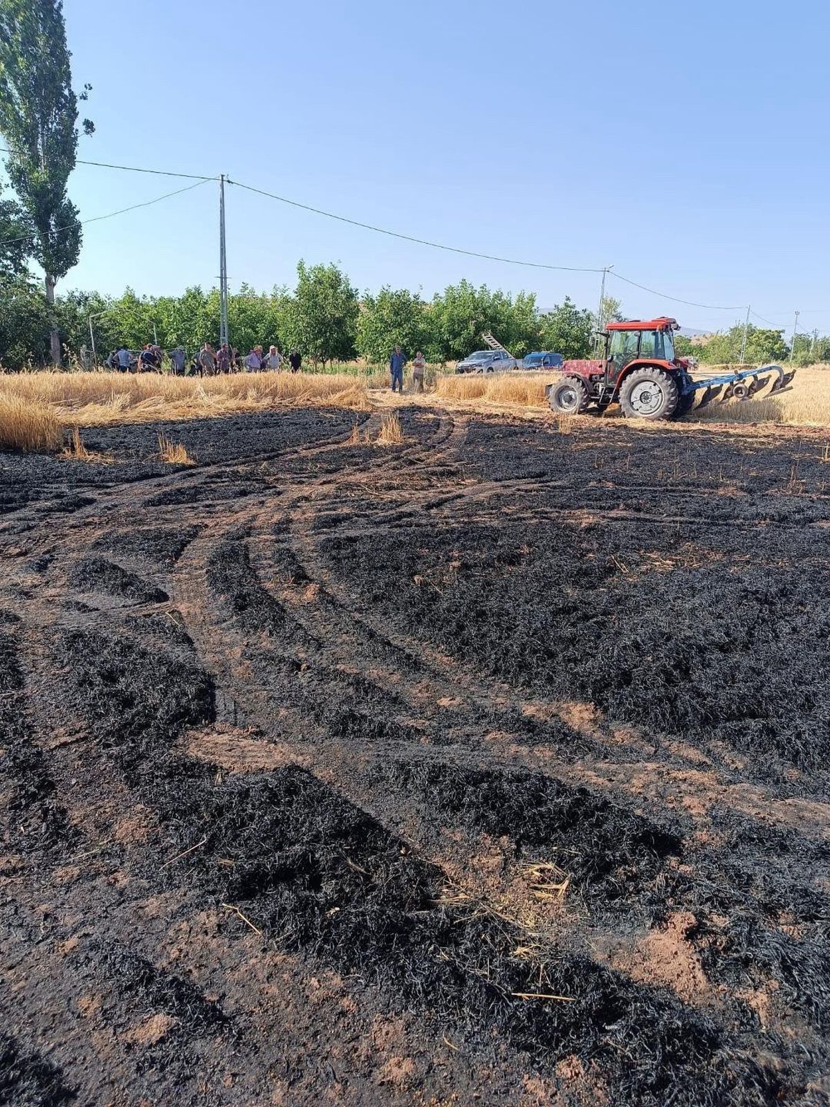 Elazığ’daki ekili tarlada çıkan yangın ekiplerce söndürüldü