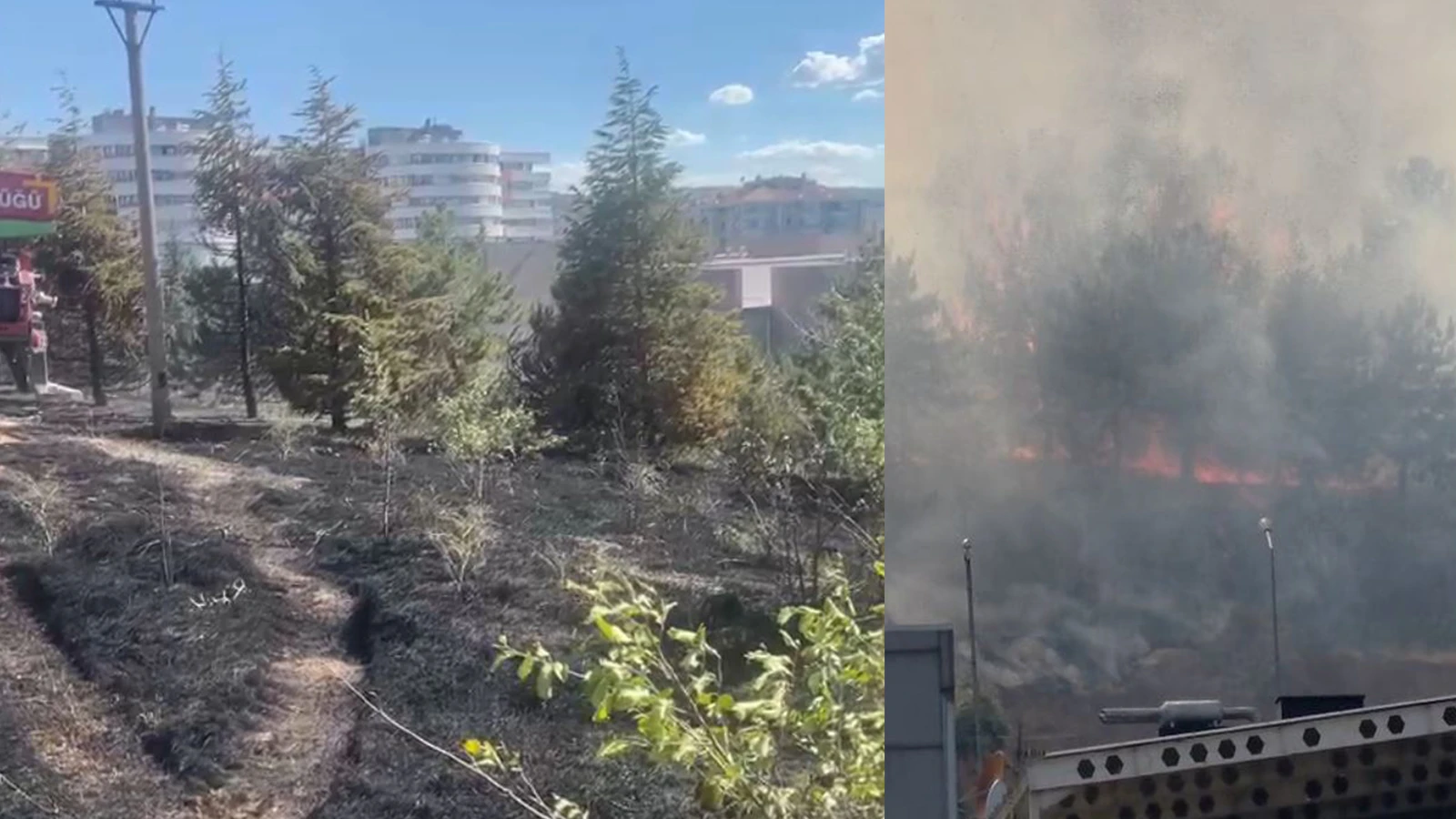 Ankara'da ODTÜ Ormanı'nda yangın