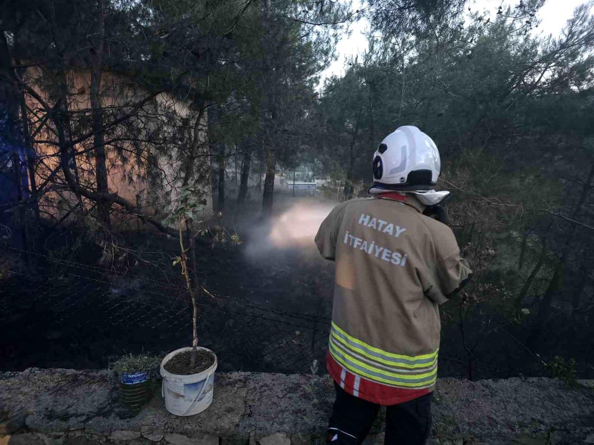 Hassa'da çamlık alan yangını