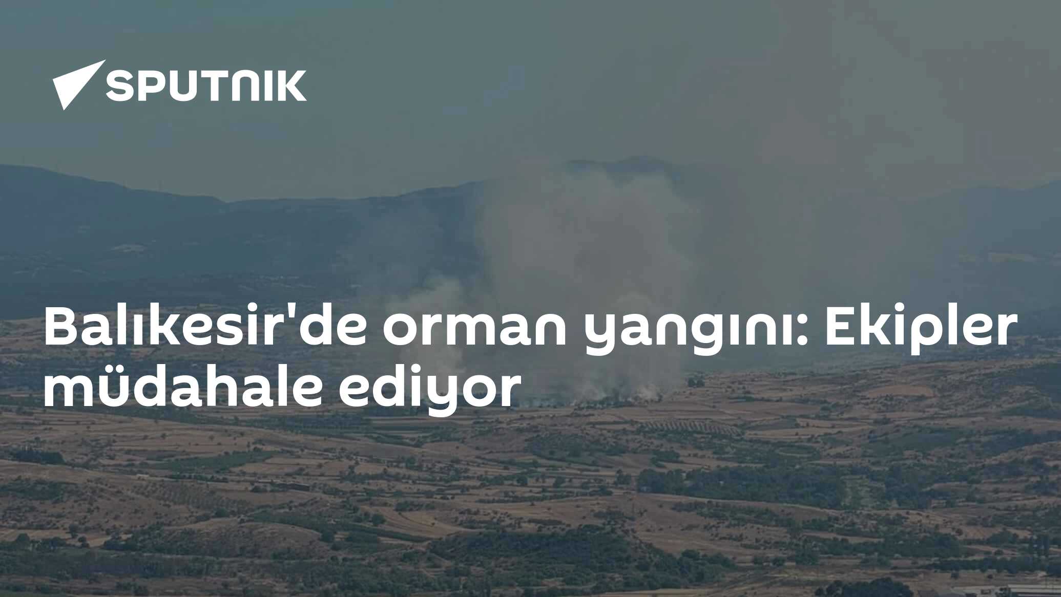 Balıkesir'de orman yangını: Ekipler müdahale ediyor