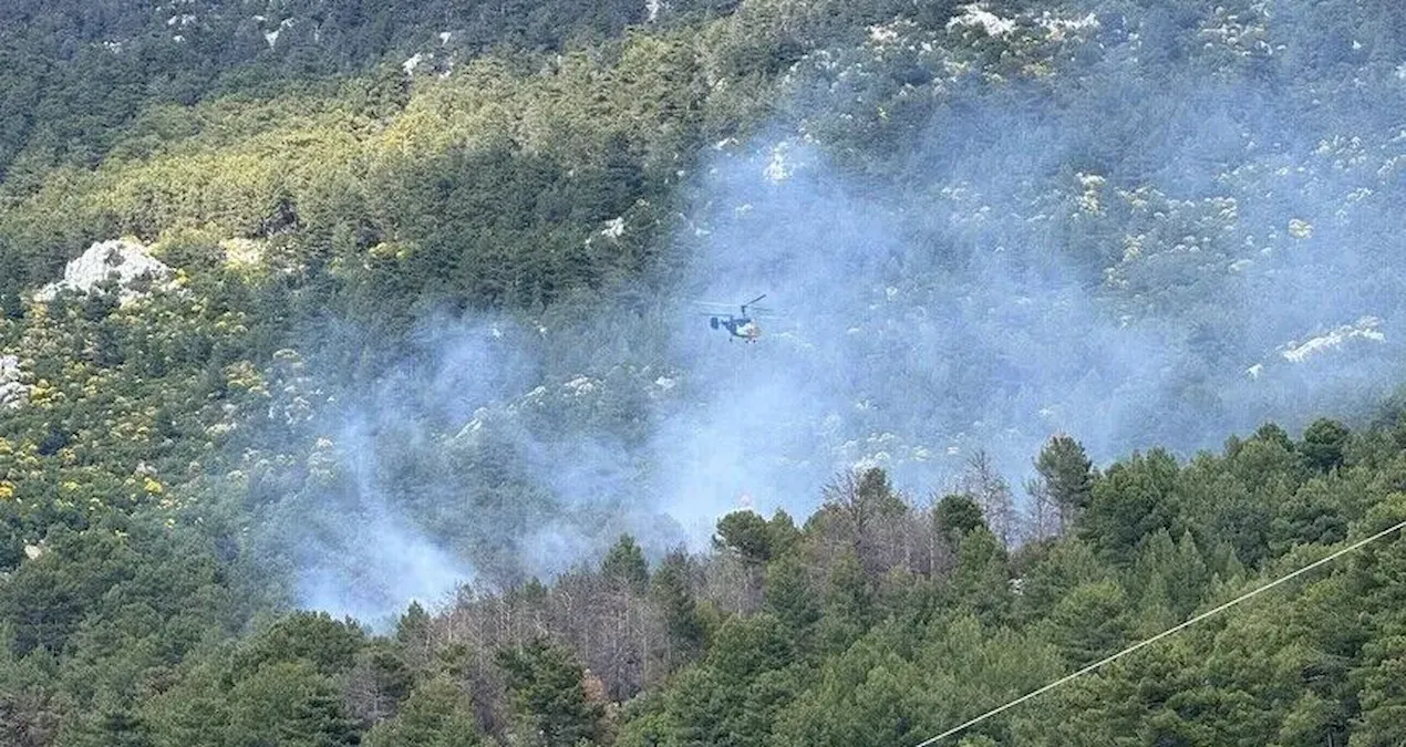 Son dakika: Antalya'nın Kaş ilçesinde orman yangını çıktı