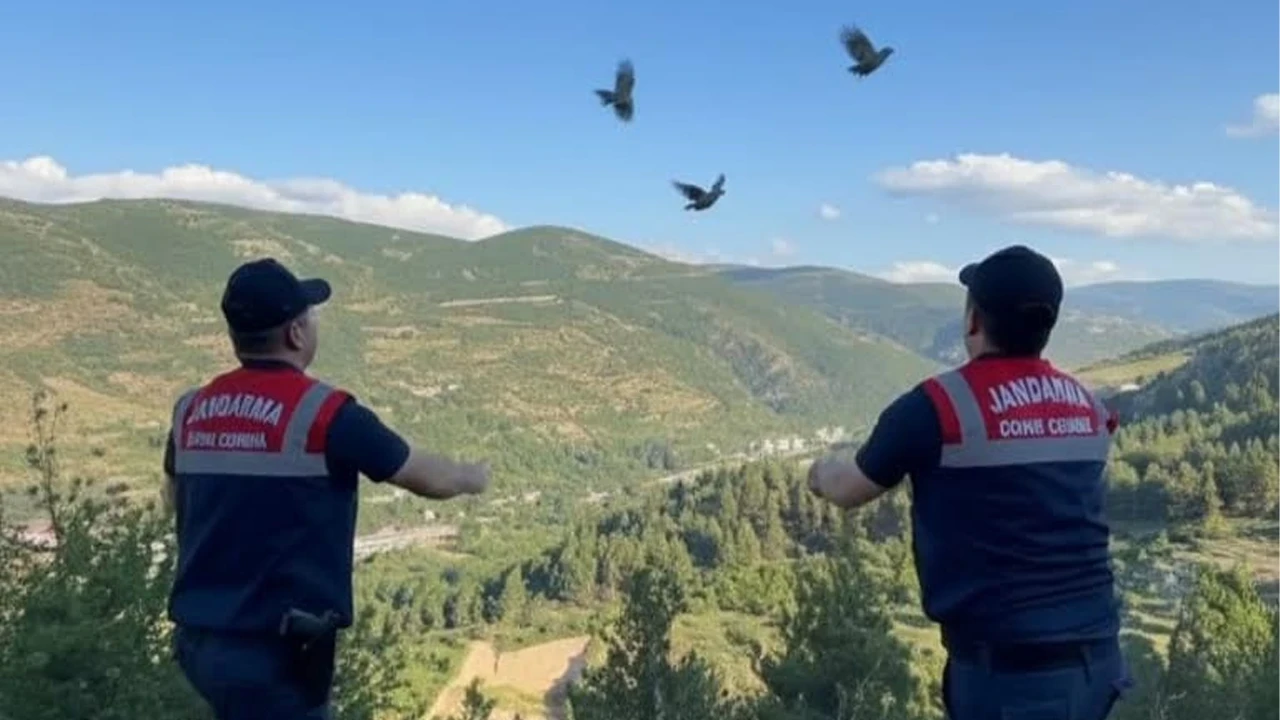 Jandarmadan yaban hayatına can suyu