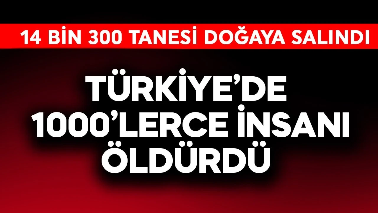 Türkiye'de 1000'lerce insanı öldürdü! 14 bin 300 tanesi ona karşı doğaya salındı