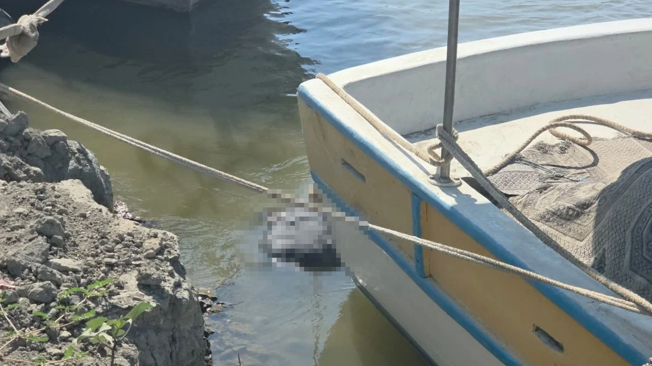 Asi Nehri’nin denize döküldüğü noktada ceset bulundu!