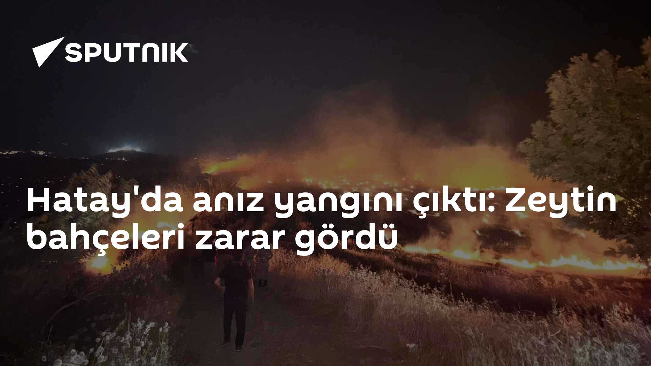 Hatay'da anız yangını çıktı: Zeytin bahçeleri zarar gördü