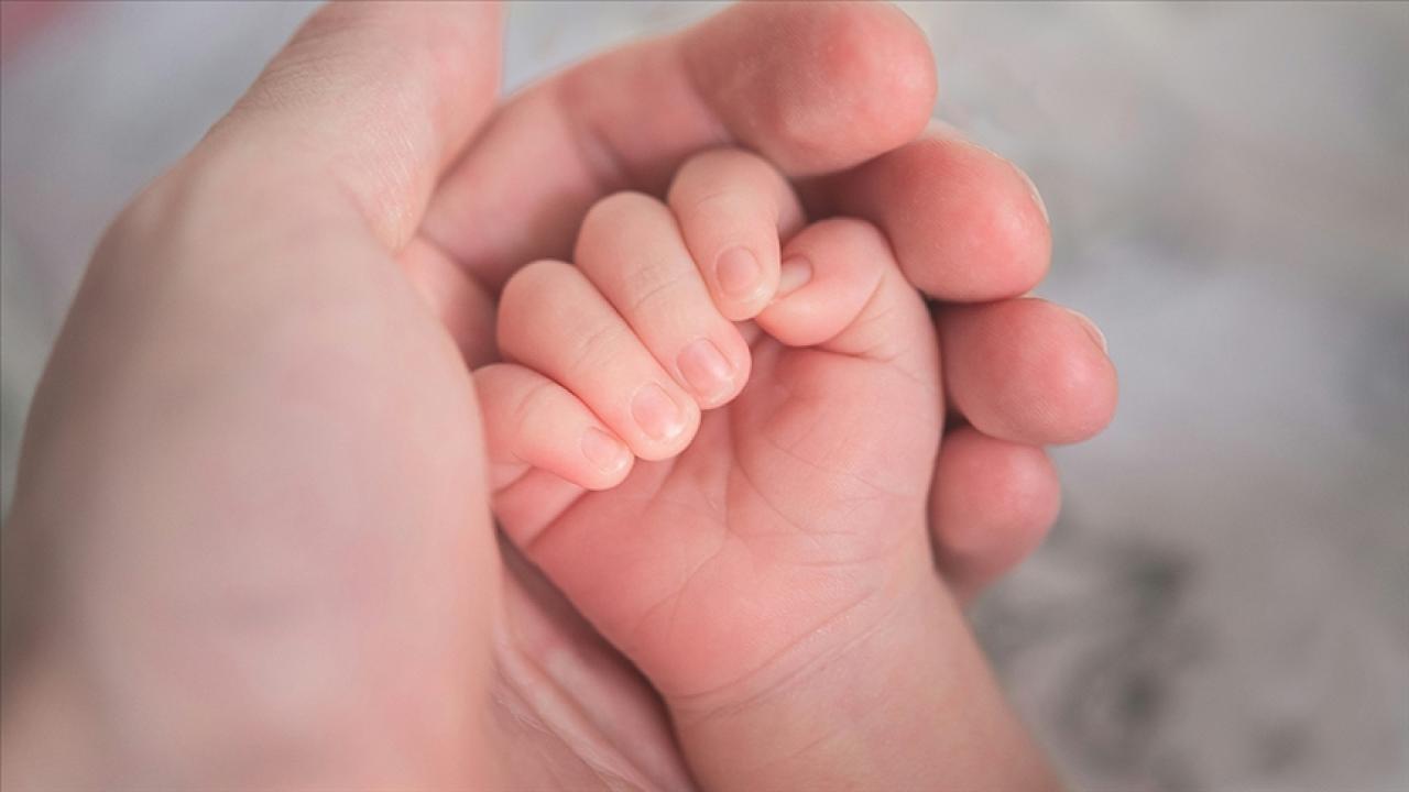 Almanya'da doğum oranı son 28 yılın en düşük seviyesine geriledi