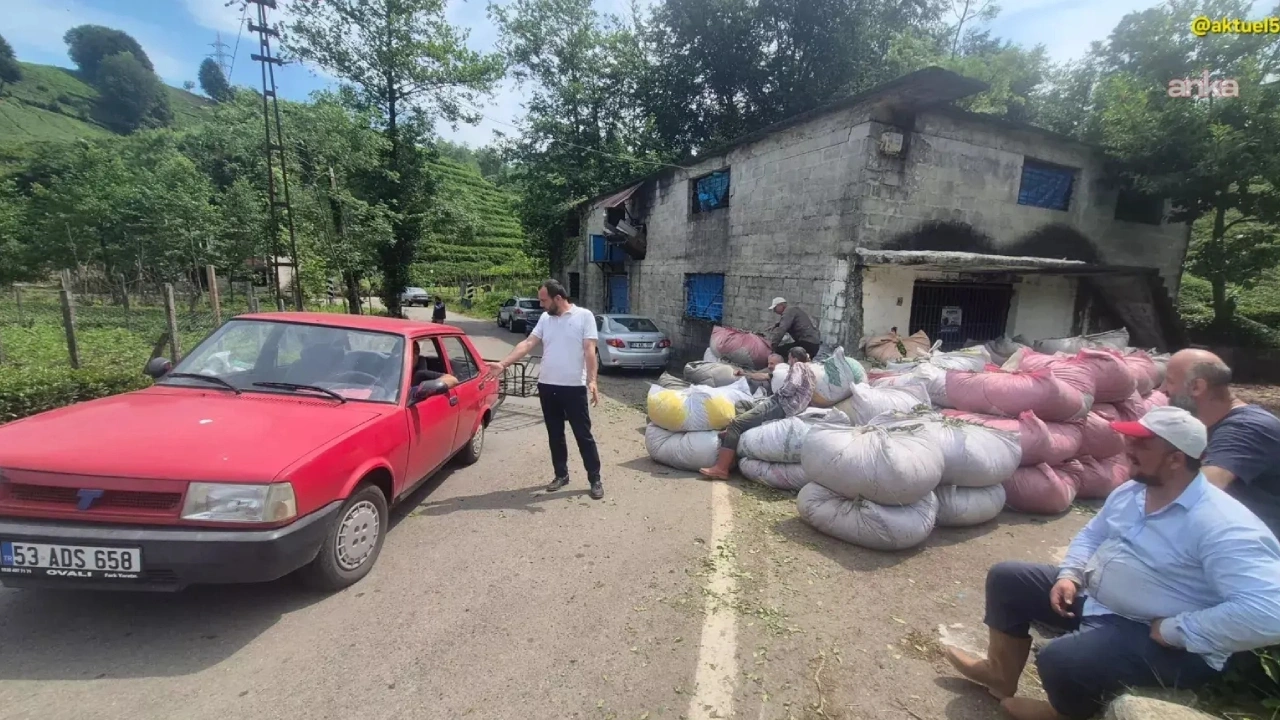 Devlet kota koydu özel sektör fiyat kırdı! "Suçlu AKP'ye oy veren benim"