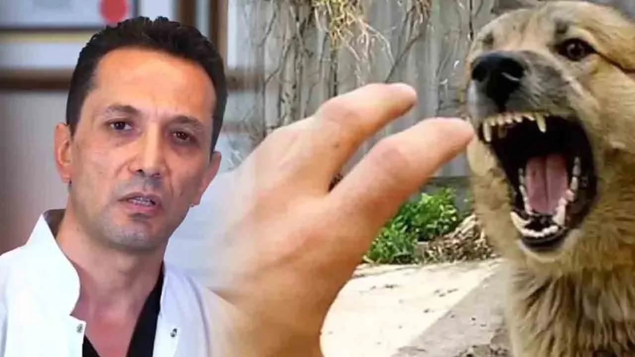 Çocukları köpekten kurtaran doktora iftira atanlara tepki! “Köpeğin sahiplerine adli işlem yapılmalıdır”