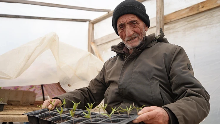 Bayburtlu çiftçi ata tohumlarını yaşatmak için ücretsiz fide dağıtıyor