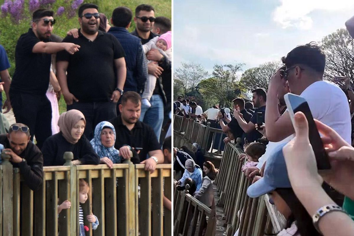 Dünyada sadece Türkiye'de var! 81 ilden vatandaşlar akın ediyor