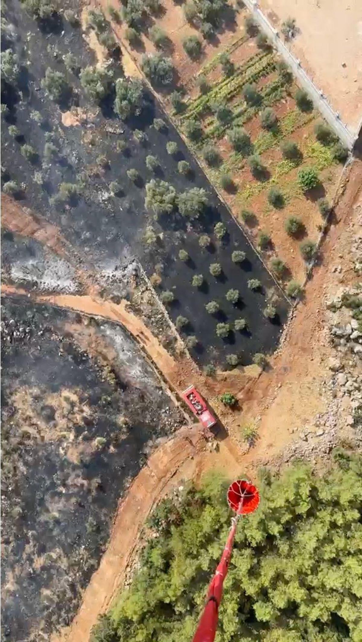 Antalya'da orman yangınına havadan ve karadan müdahale