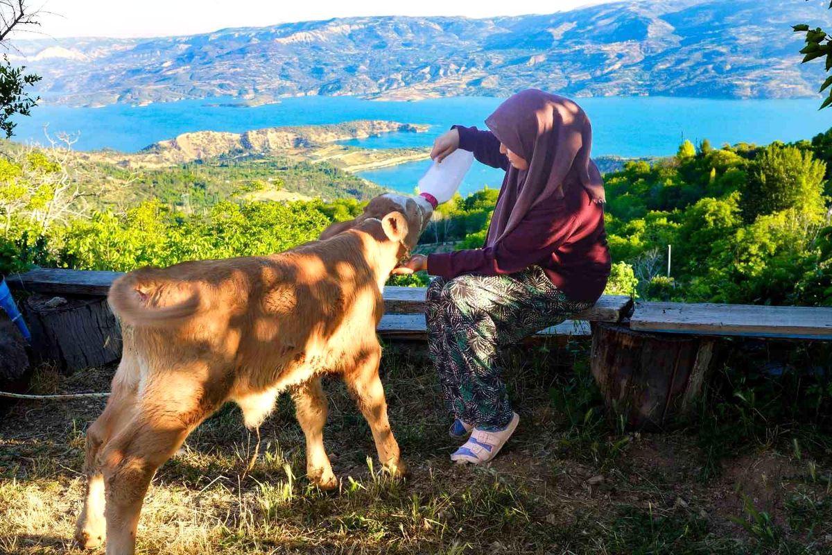 Zehra'nın hayvan sevgisi sosyal medyada ilgi odağı oldu
