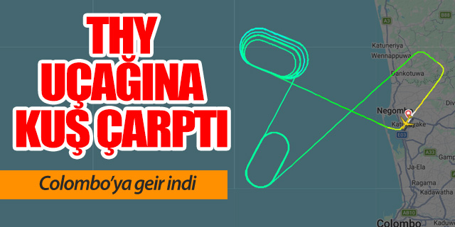 Kalkış sırasında kuş çarpan THY uçağı geri döndü