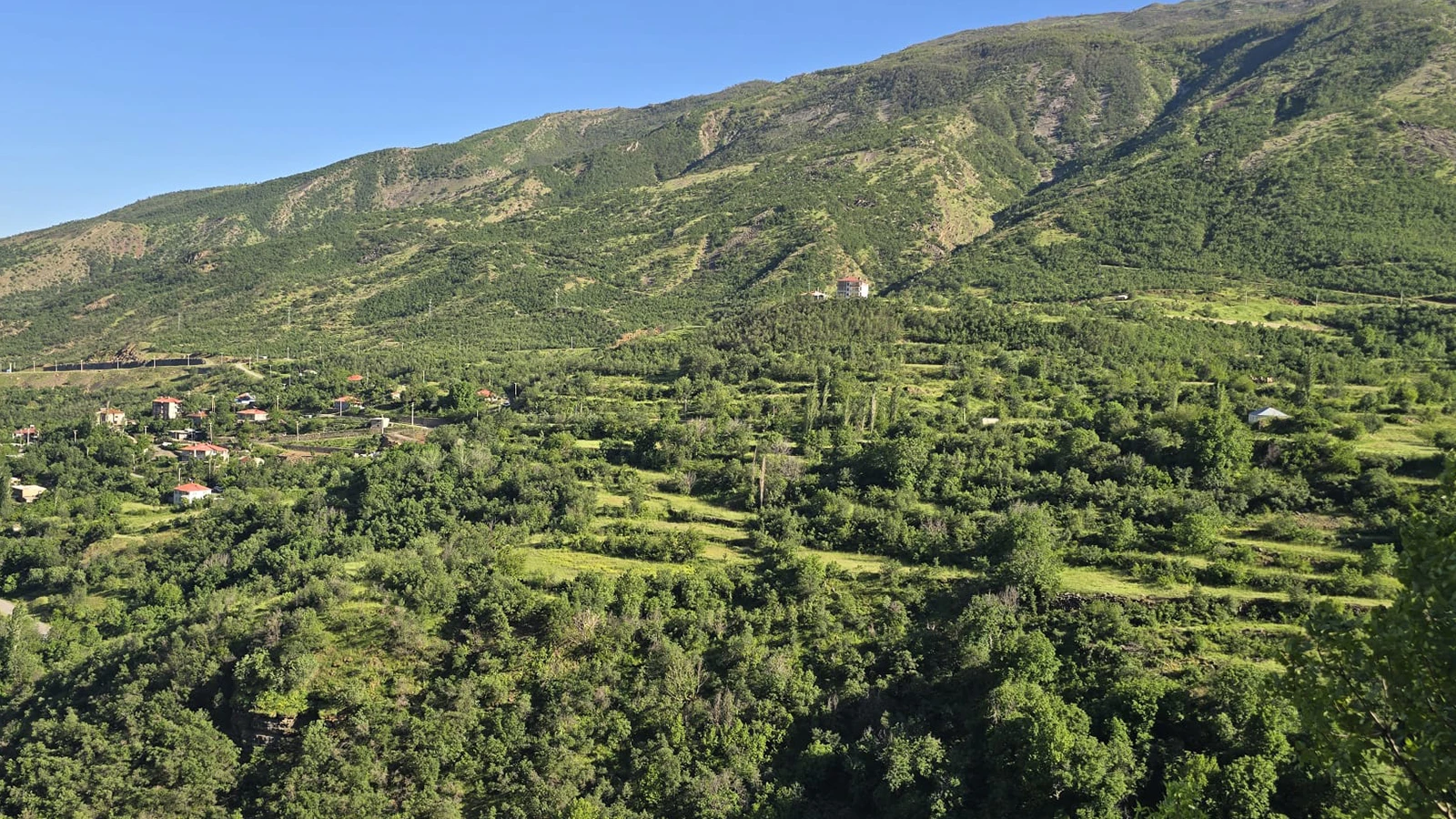 Şırnak'ta ormanlara girişler 30 Eylül'e kadar yasaklandı